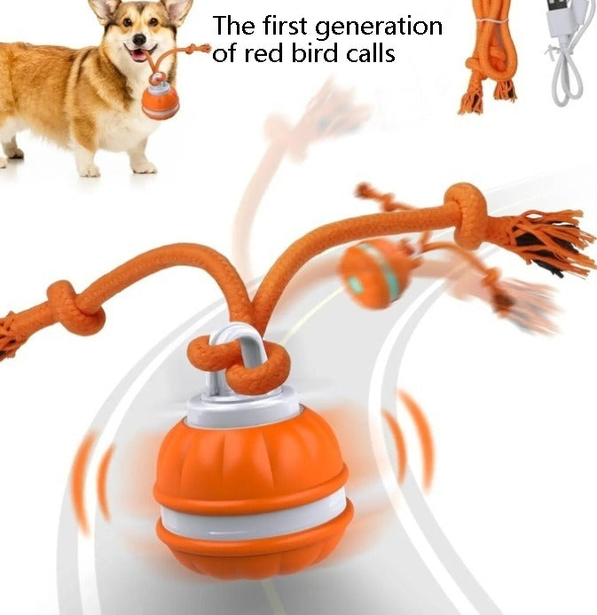 Auto-Rolling Ball Toy for Dogs & Cats — USB Rechargeable