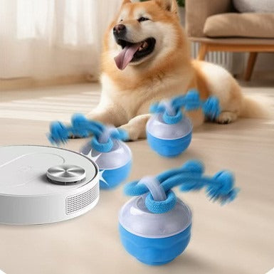 Auto-Rolling Ball Toy for Dogs & Cats — USB Rechargeable