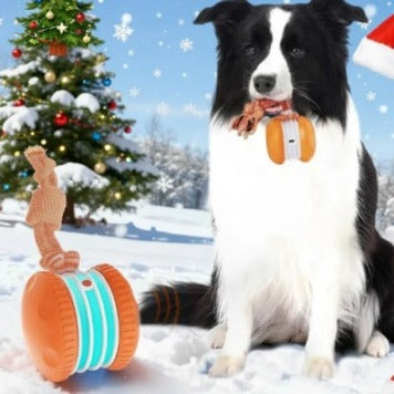Auto-Rolling Ball Toy for Dogs & Cats — USB Rechargeable