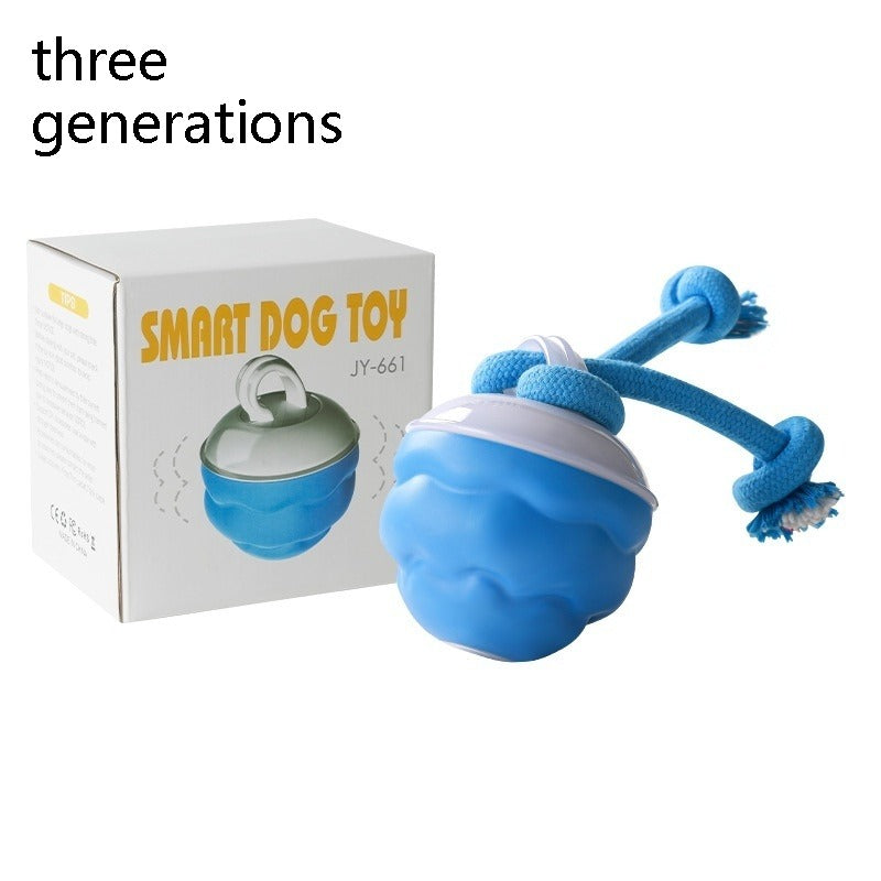 Auto-Rolling Ball Toy for Dogs & Cats — USB Rechargeable