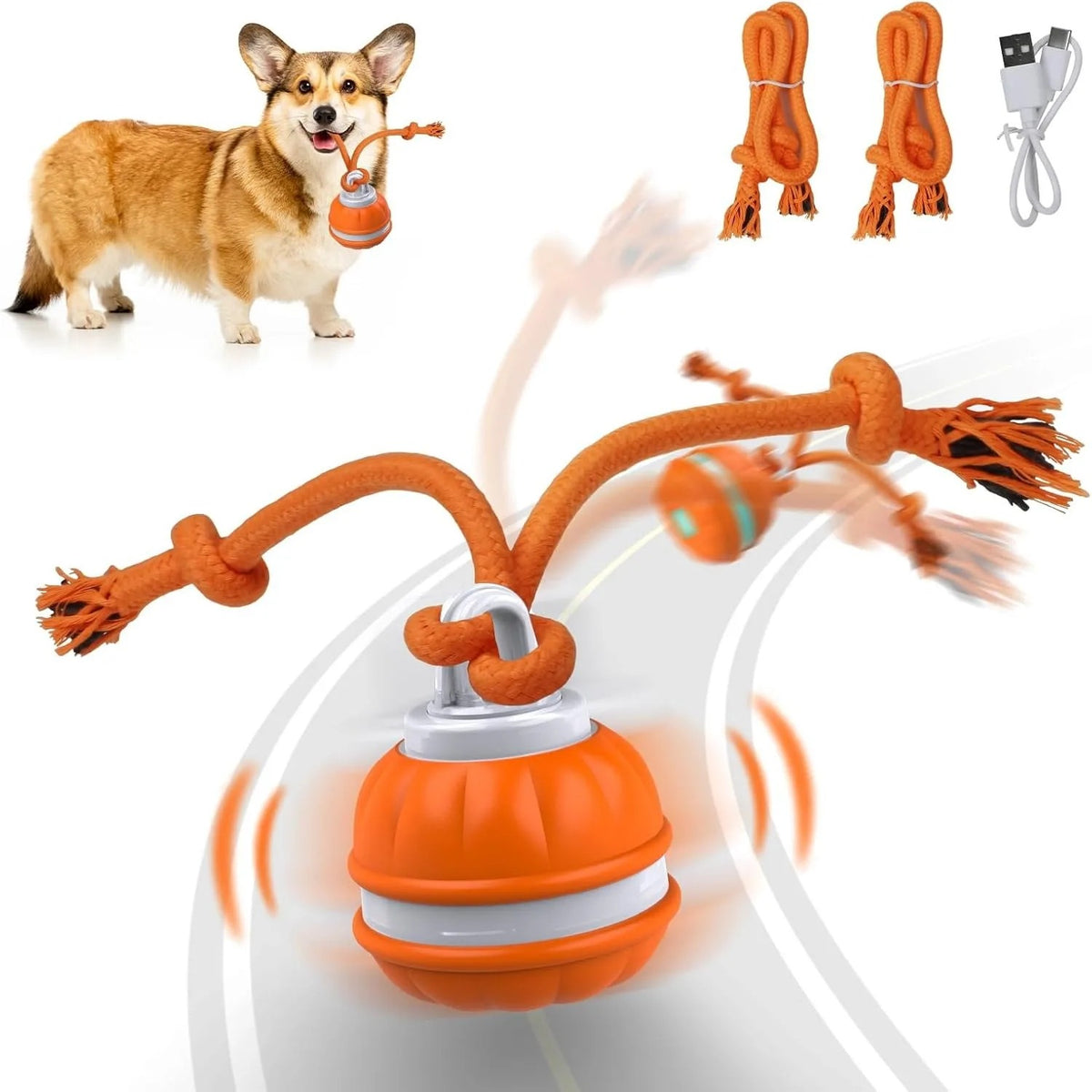 Auto-Rolling Ball Toy for Dogs & Cats — USB Rechargeable