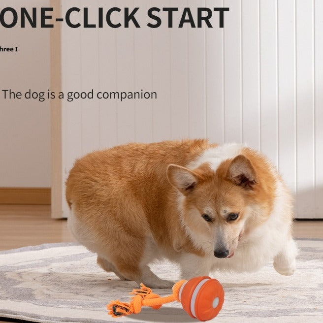 Auto-Rolling Ball Toy for Dogs & Cats — USB Rechargeable